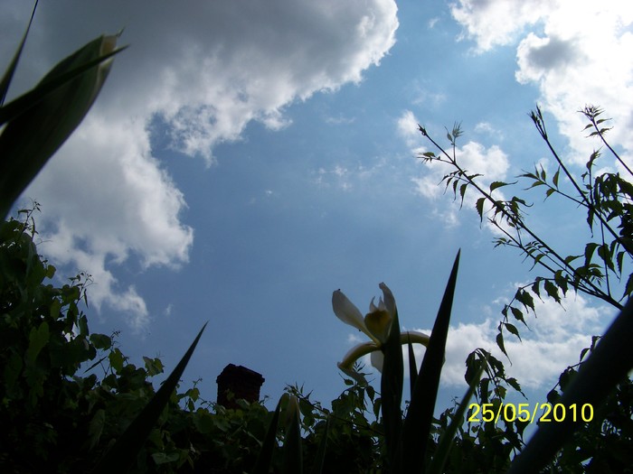 100_9789 - 23 26 Mai 2010