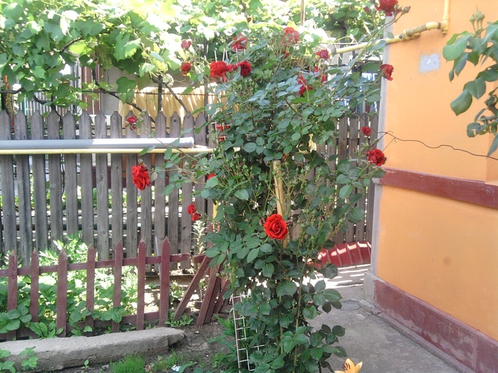 SP_A0851