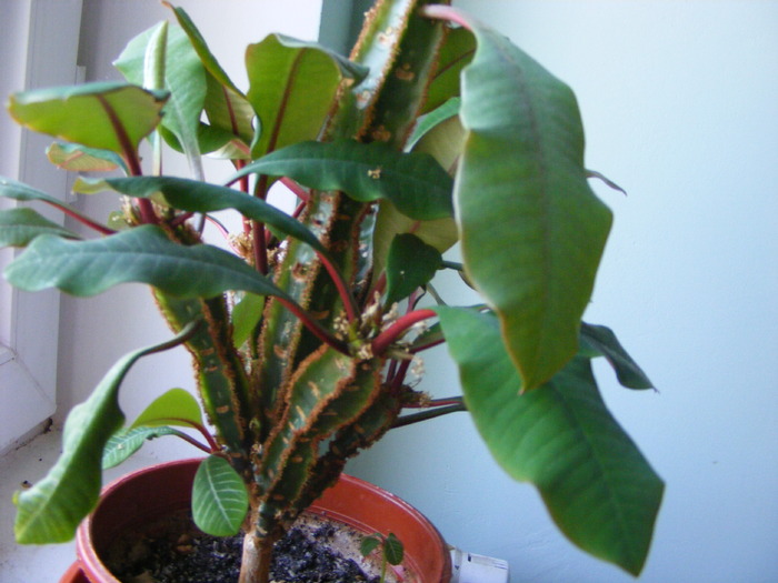 Mai 2010 050