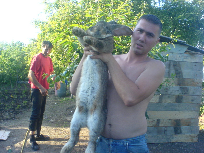 DSC03560 - uriasi mei