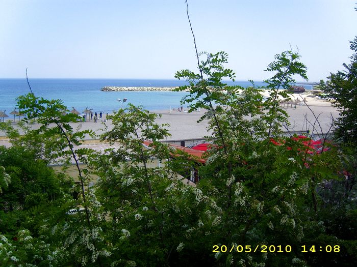 DSCI0989 - mangalia _2010