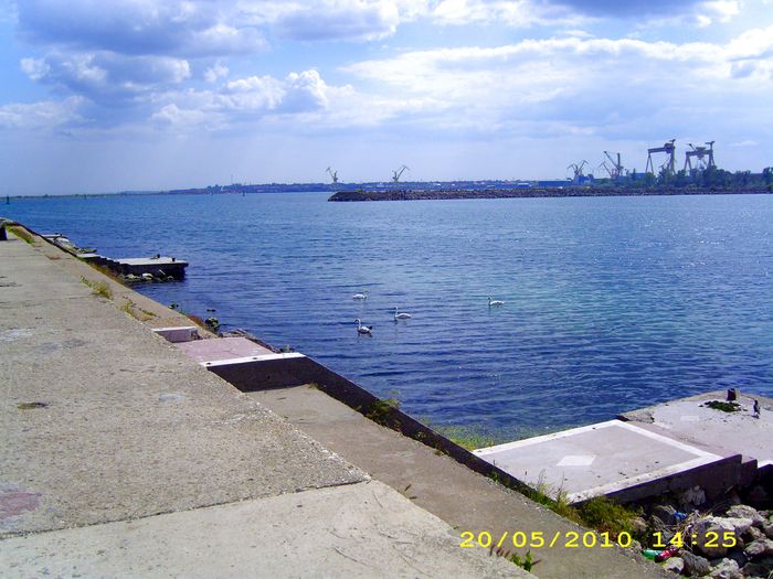 DSCI1001 - mangalia _2010