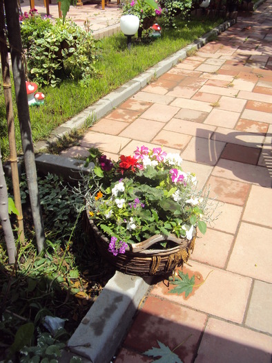 aceeasi terasa - gradina 2010