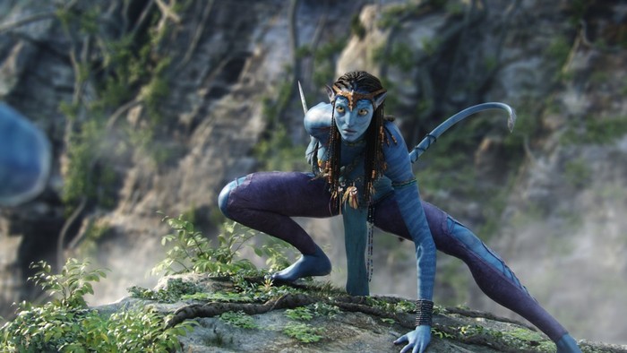 avatar-1 - surpriza5