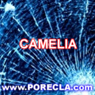 528-CAMELIA avatare nume mici - surpriza5