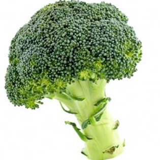 brocoli - club-legume
