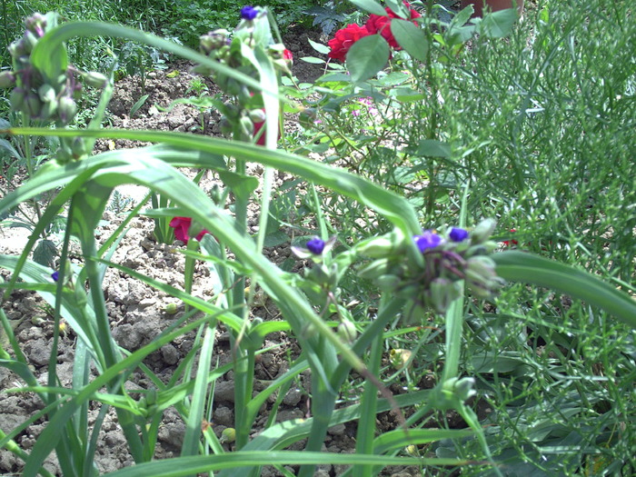 PICT0055