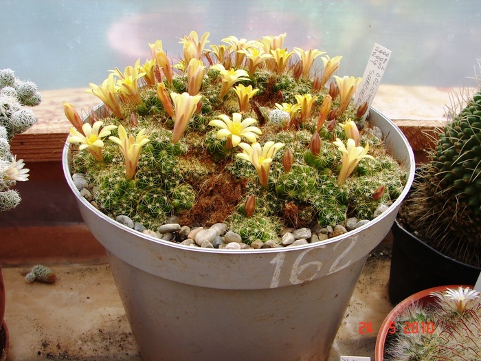 DSC08435