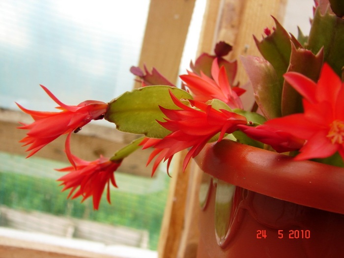 DSC08471