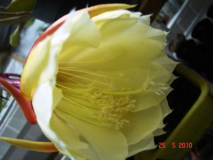 DSC08477