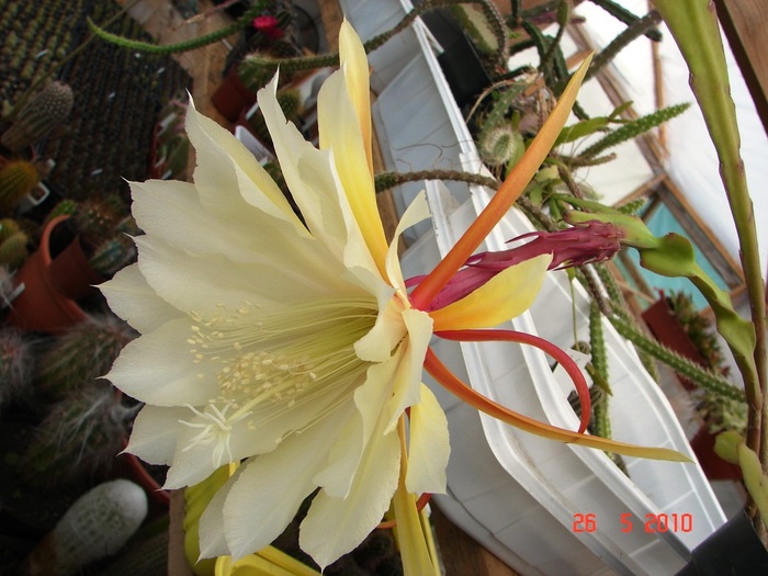 DSC08479