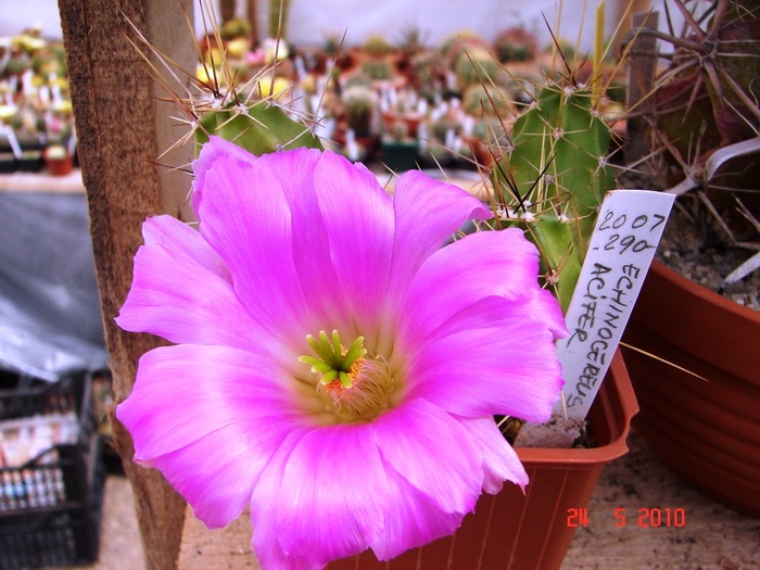 DSC08334