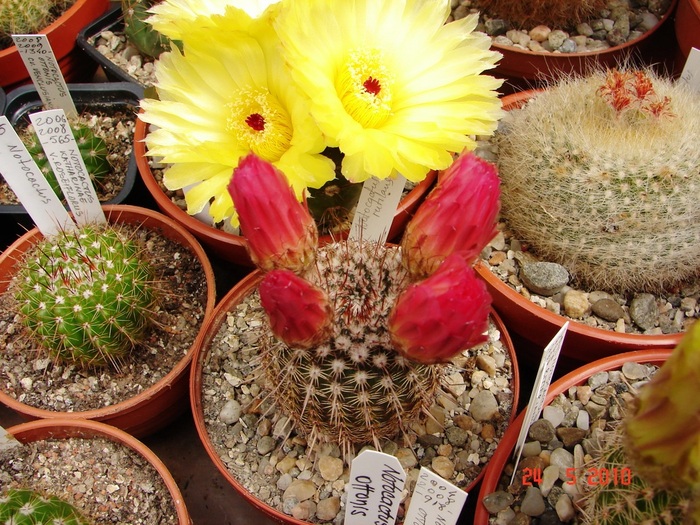 DSC08360