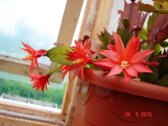 DSC08365