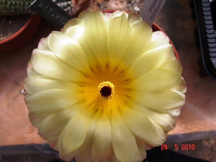DSC08390