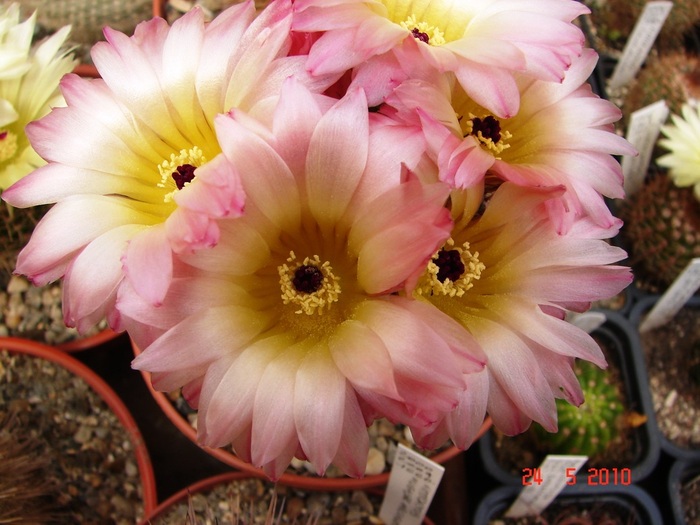 DSC08402