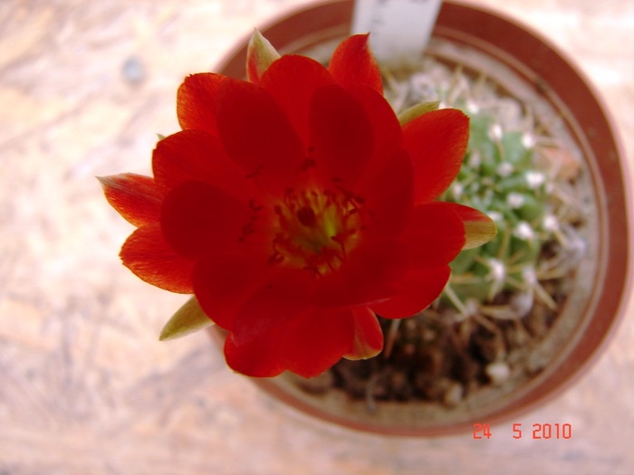 DSC08405