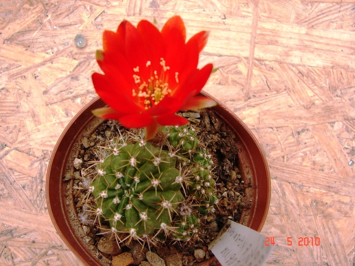 DSC08406