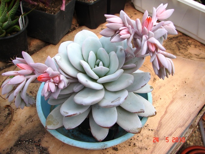 DSC08407