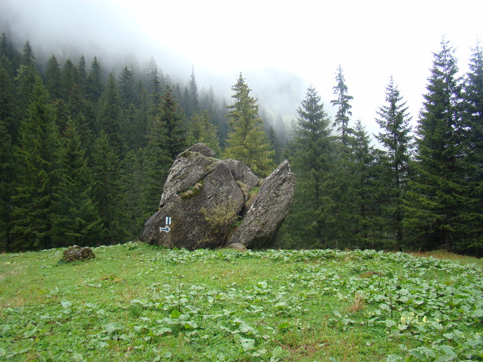 DSC05369
