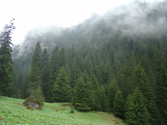 DSC05370