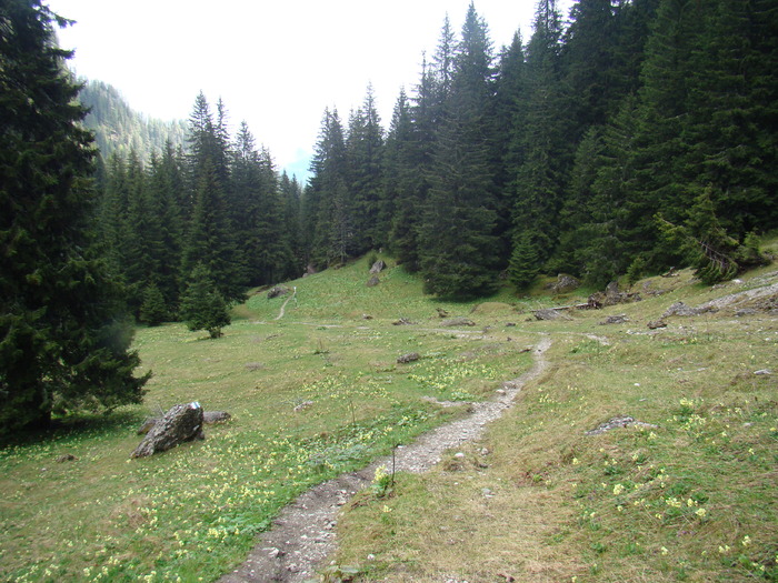 DSC05372