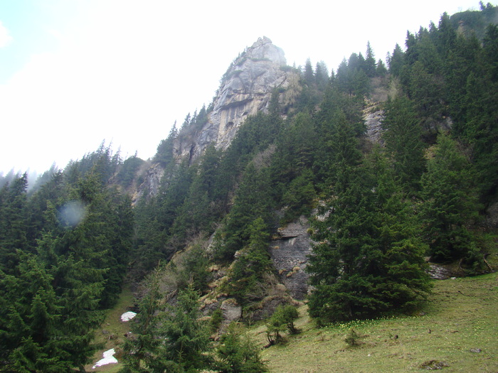 DSC05373