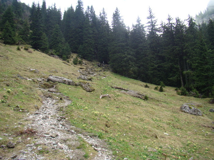 DSC05374