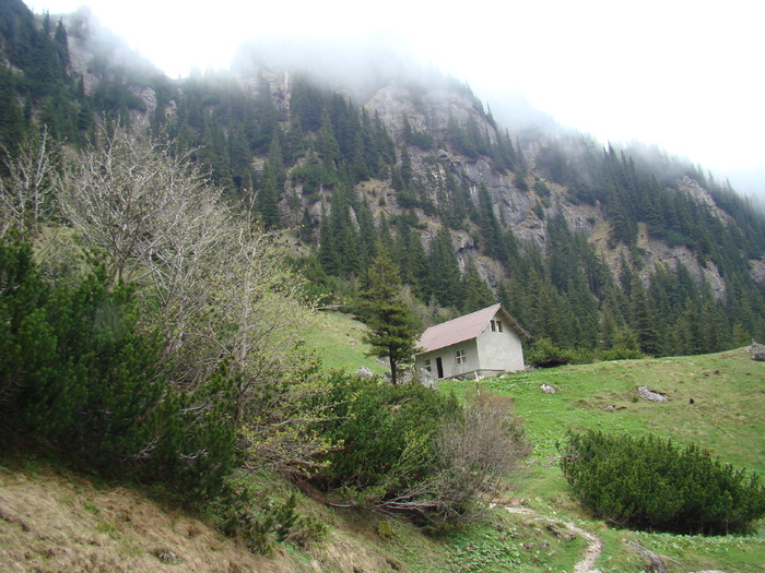 DSC05376