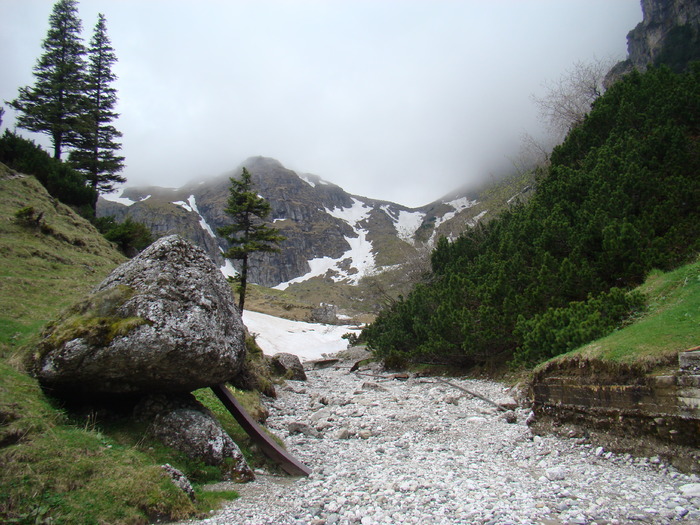 DSC05378