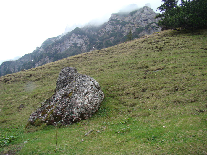 DSC05379