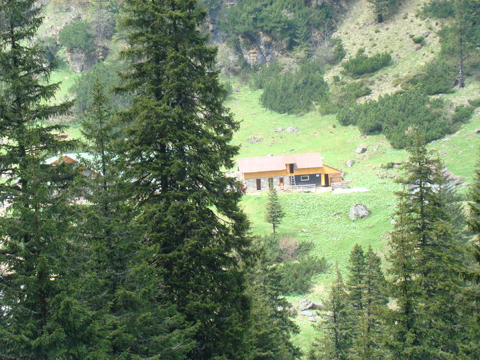 DSC05384