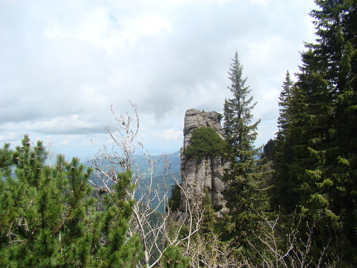 DSC05386