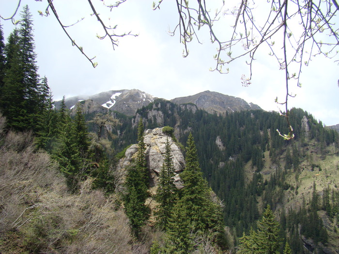 DSC05393