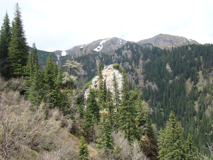 DSC05396