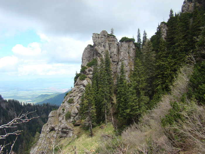 DSC05401 - Azuga-Diham-Malaiesti-Poiana Costilei-Busteni