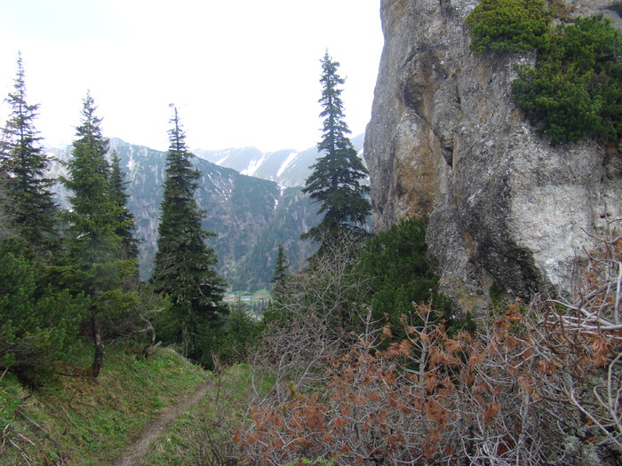 DSC05404 - Azuga-Diham-Malaiesti-Poiana Costilei-Busteni