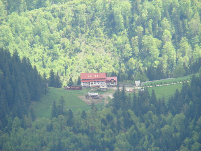 DSC05406 - Azuga-Diham-Malaiesti-Poiana Costilei-Busteni