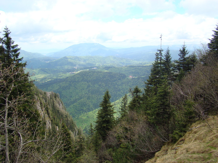 DSC05408