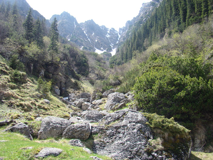 DSC05414 - Azuga-Diham-Malaiesti-Poiana Costilei-Busteni