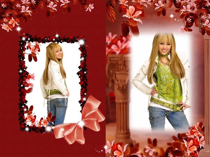 14455227_CFVQNODVT - Wallpapere cu Hannah