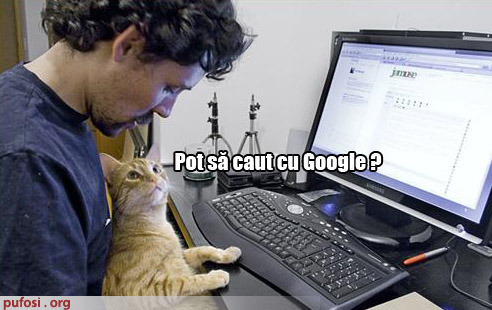 poze-amuzante-pisica-vrea-sa-caute-pe-google1