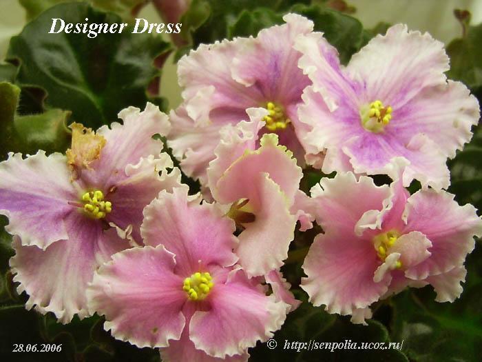 Designer Dress