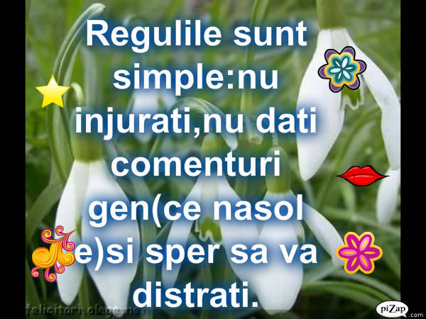 pizap.com90.43026155652478341275121885625 - reguli pt cei care imi viziteaza albumul