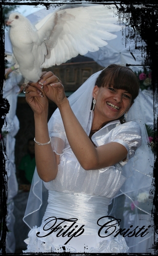 IMG_0031 - Porumbeii  nunti