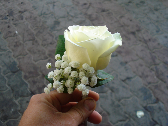 floare piept trandafir alb