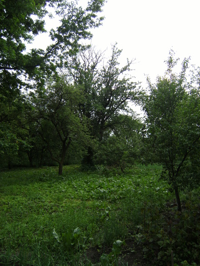 casa, simpozion, ocea 107