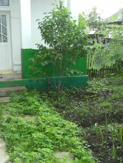 casa, simpozion, ocea 081