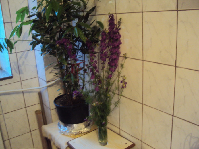 DSC02261
