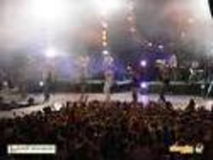 este o gramada de lume